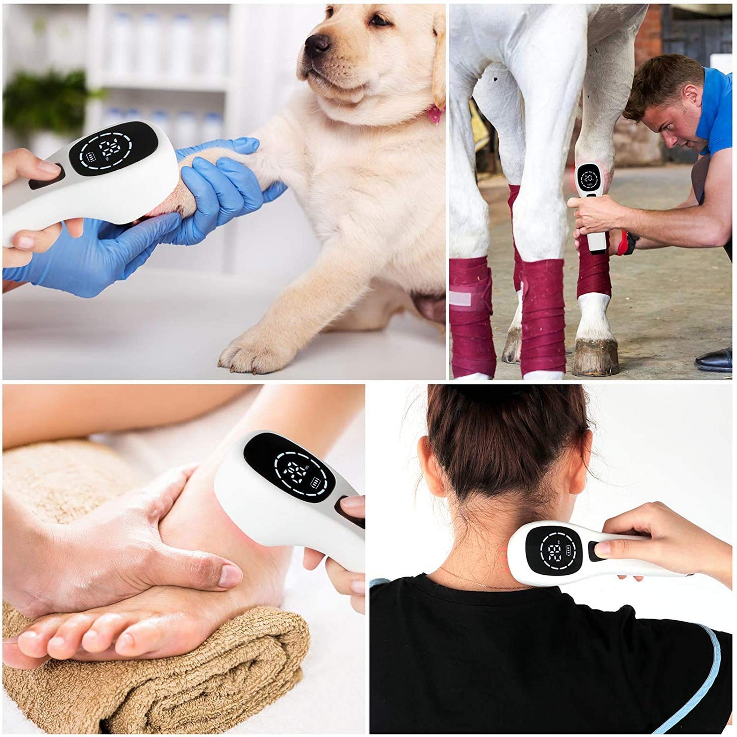 Body Pain Laser Therapy Device Lllt Physiotherapy Equipment For Knee