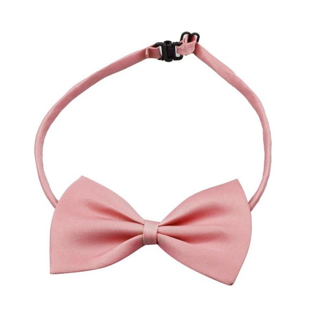 MUQGEW Lovely Pets hot selling Fashion Cute Dog